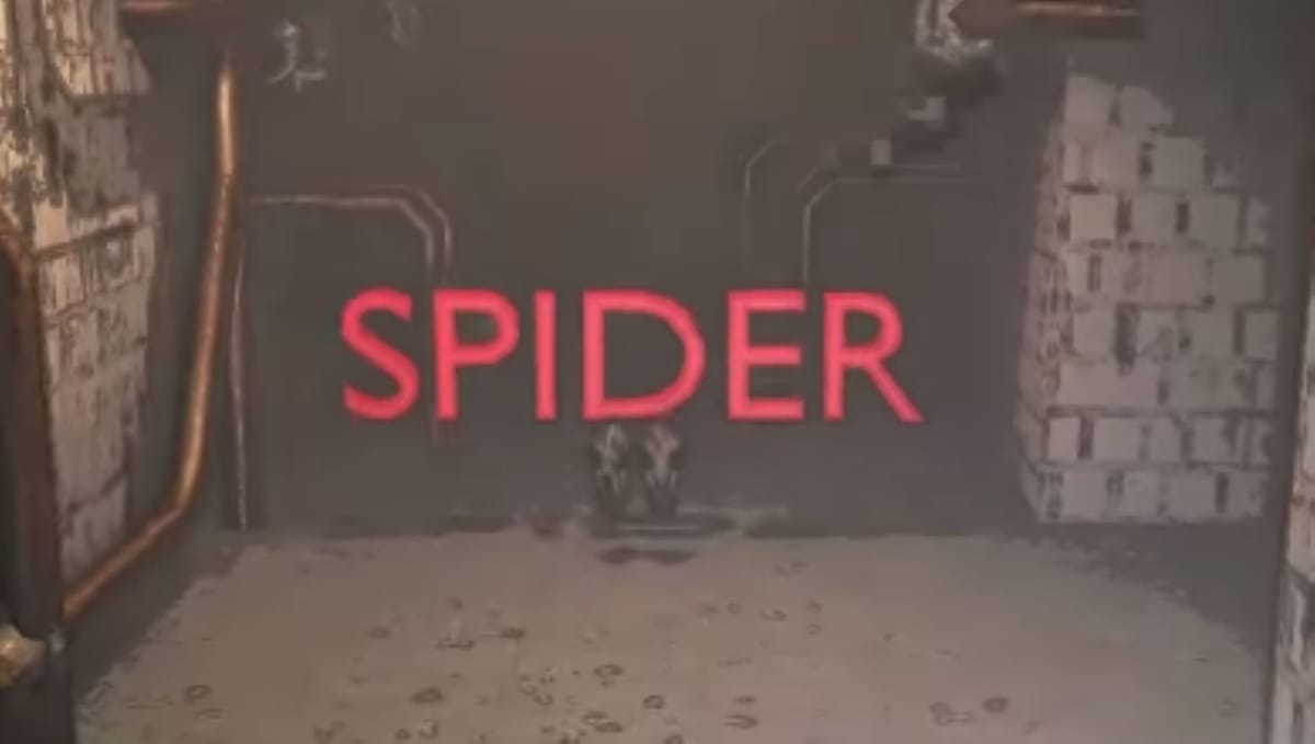 Save the Spiders